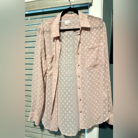 A New Day Sheer Blush Polka Dot Button Up Blouse - Picture 1 of 6